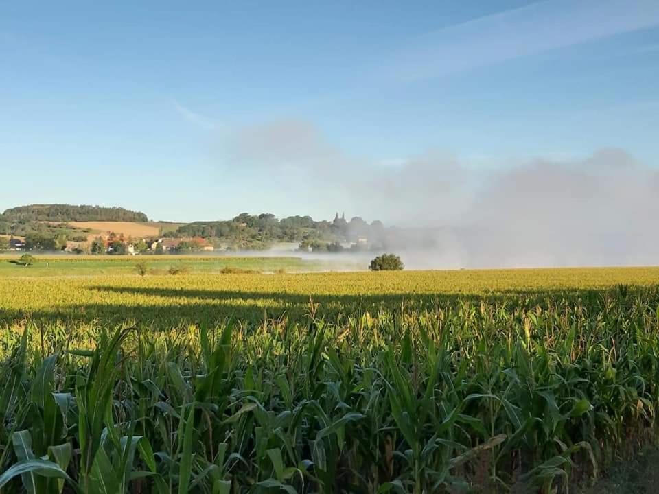 Reiterhof Schmidt, Gaststaette & Pension Golk Esterno foto